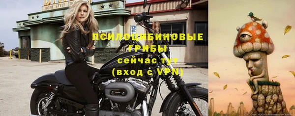 прущие грибы Абдулино